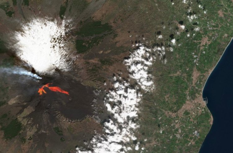 Using the Sentinel L1C satellite to monitor deforestation