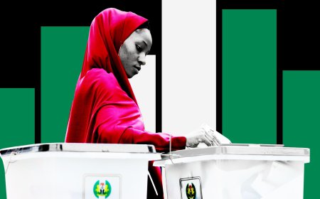 Nigeria will shut its land boundaries tomorrow, 25th February